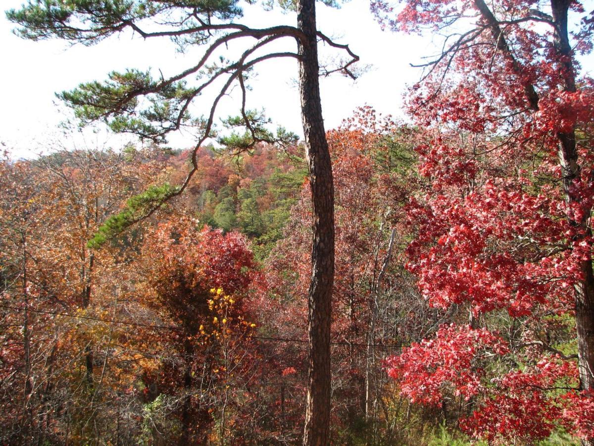 Sunset Ridge Cabin Pigeon Forge Extérieur photo